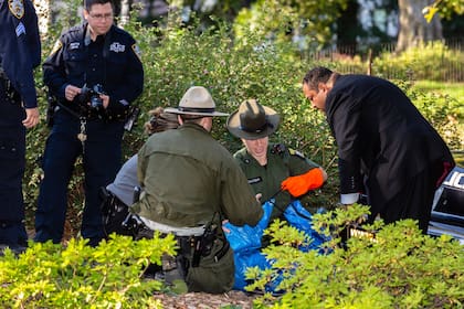 La policía de Nueva York y agentes de Conservación Ambiental del Estado de Nueva York manejan el cuerpo de un cachorro de oso que fue hallado muerto debajo de unos arbustos en Central Park, el lunes 6 de octubre de 2014, en Nueva York. (AP Foto/Stefan Jeremiah)