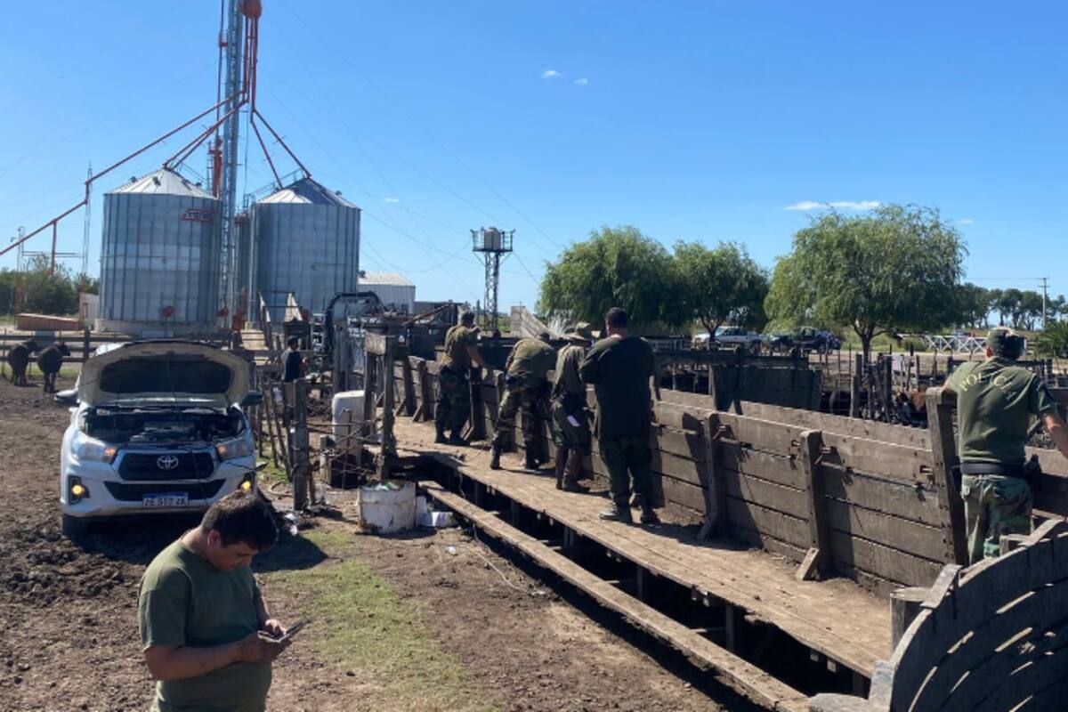 La policía en el operativo en el feedlot