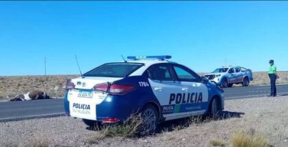 La policía estima que el vehículo no habría sufrido daños importantes, ya que continuó circulando tras el impacto.