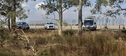 La policía llegó al lugar en donde faenaron los animales
