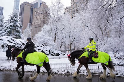 La policía montada patrulla Central Park en una mañana nevada de invierno