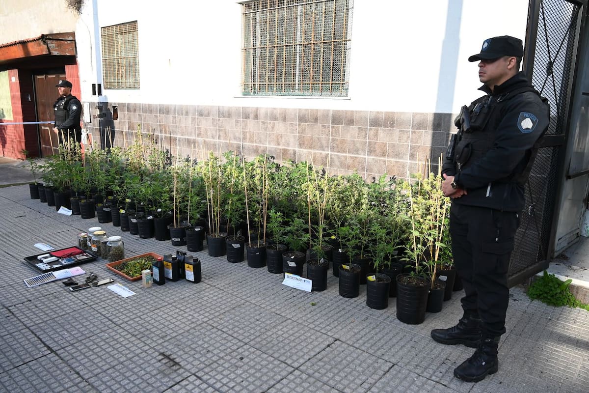 La Policía persiguió a un hombre en Pompeya y terminó desmantelando un laboratorio de cultivo de marihuana