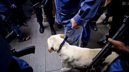 La policía sudafricana creó una unidad especial contra el secuestro