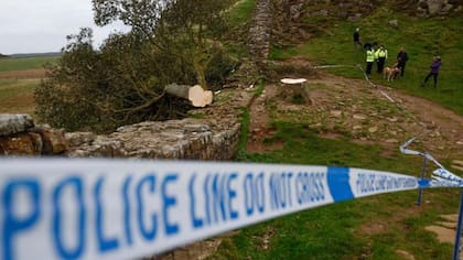 La policía todavía continúa investigando el incidente
