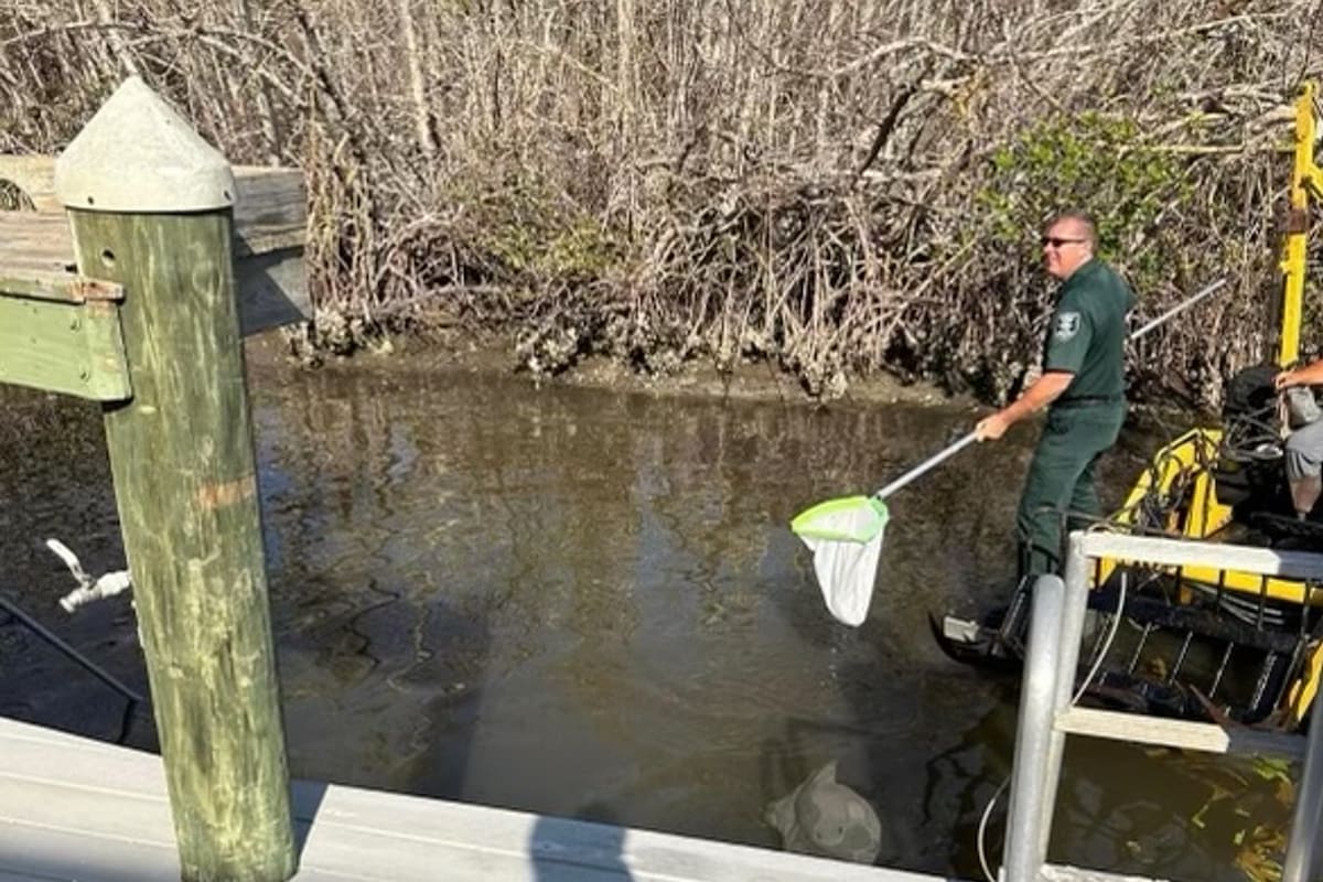 La policía tuvo que intervenir y sacar con cautela lo que el hombre encontró en el fondo del agua