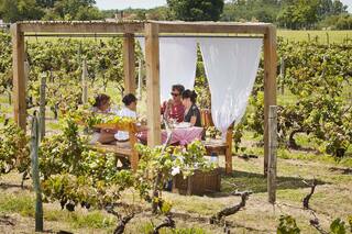 Vinos, buena mesa y atardeceres soberbios a 3 horas de Buenos Aires