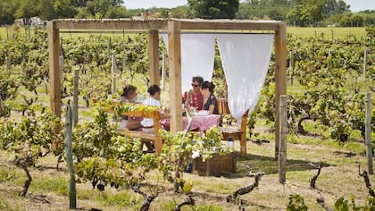 La posada Campotinto tiene 25 hectáreas de zona rural con una zona de viñedos.