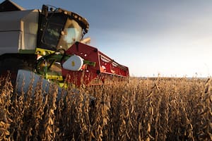 La soja subió más de US$8 en un mercado muy sensible