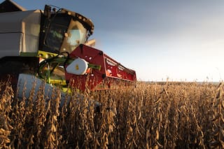 La soja subió más de US$8 en un mercado muy sensible