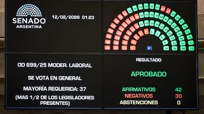 La posta pasa ahora a la cámara de Diputados