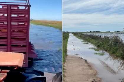 La postal de los caminos rurales del partido bonaerense de Henderson es la misma que en otros distritos bonaerenses como 9 de Julio, Carlos Casares, Guaminí y Bolívar