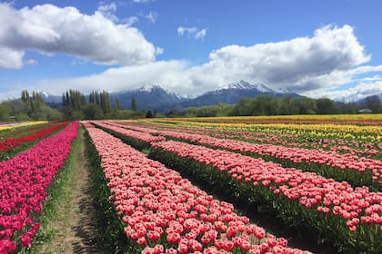 La postal de Trevelin, en Chubut, un espectáculo único.