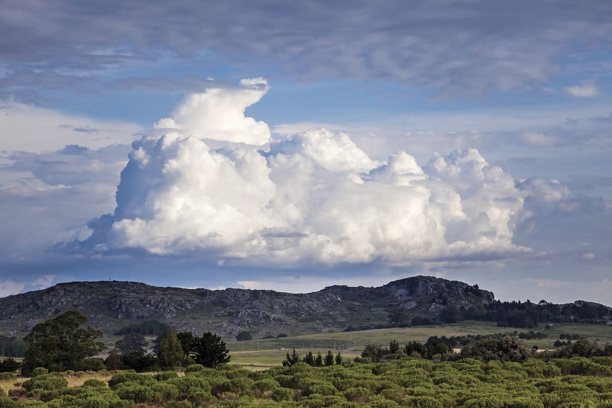 La postal perfecta y necesaria. Aire puro, mucho verde y grandes espacios para descubrir en el paisaje serrano de Tandil