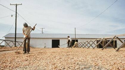 La práctica de secar el camarón al sol continúa en Luisiana, una industria próspera de mercado local e internacional.