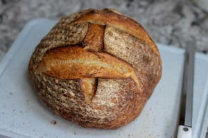 La preferencia por carbohidratos como estos podría estar vinculada a la evolución