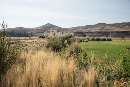 La premisa del proyecto paisajístico fue que el jardín conviviera en armonía con un paisaje imponente de montañas, río y estepa.