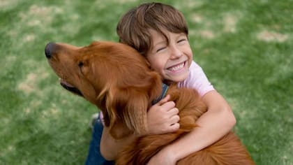 La presencia de mascotas en la infancia mejora las conductas sociales de los niños
Foto: iStock