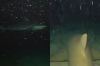 Dejó caer su GoPro al medio del océano y lo que revelaron las imágenes lo dejó aterrado