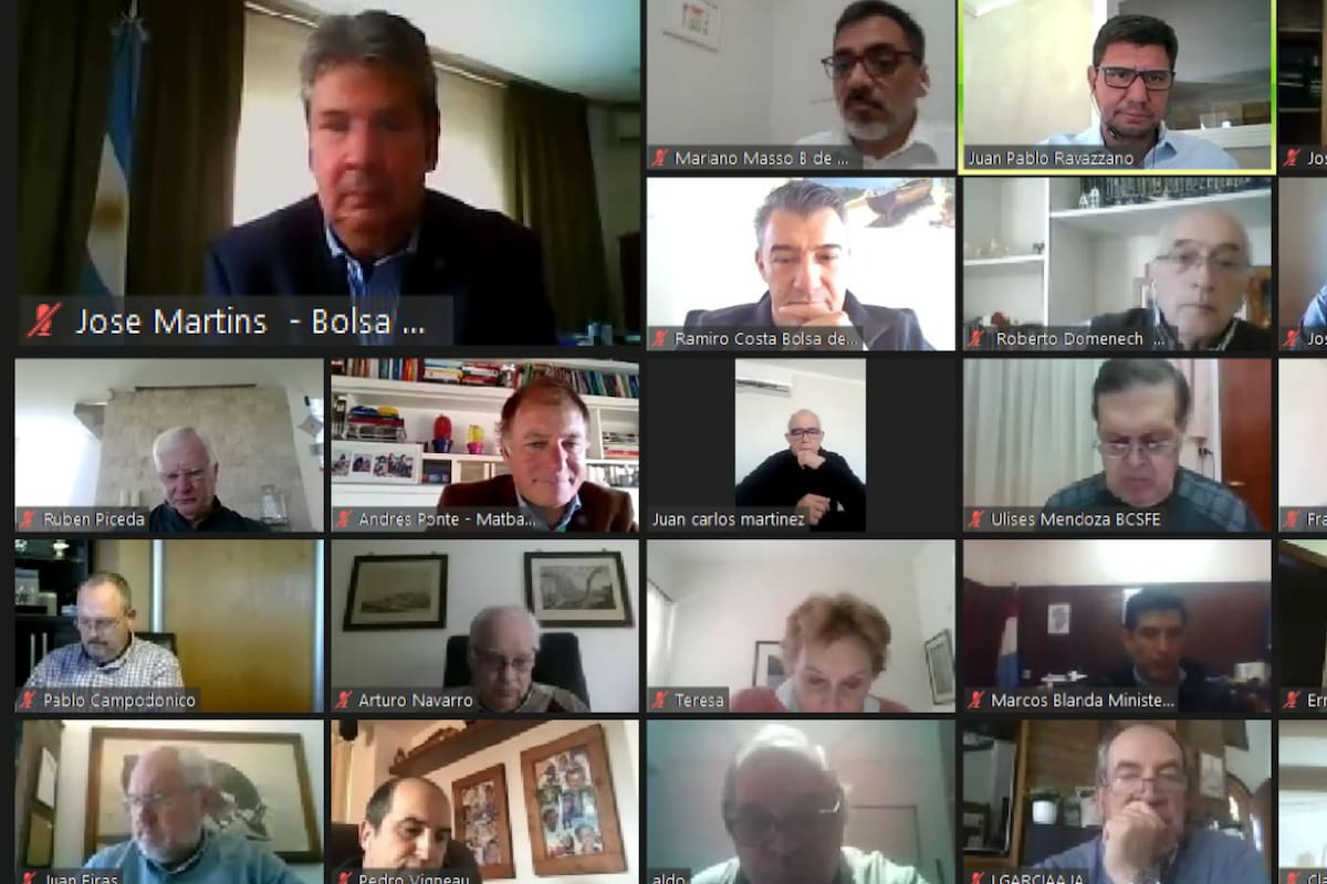 La presentación por Zoom del plan agroindustrial