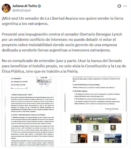 La presentación que había realizado Di Tullio