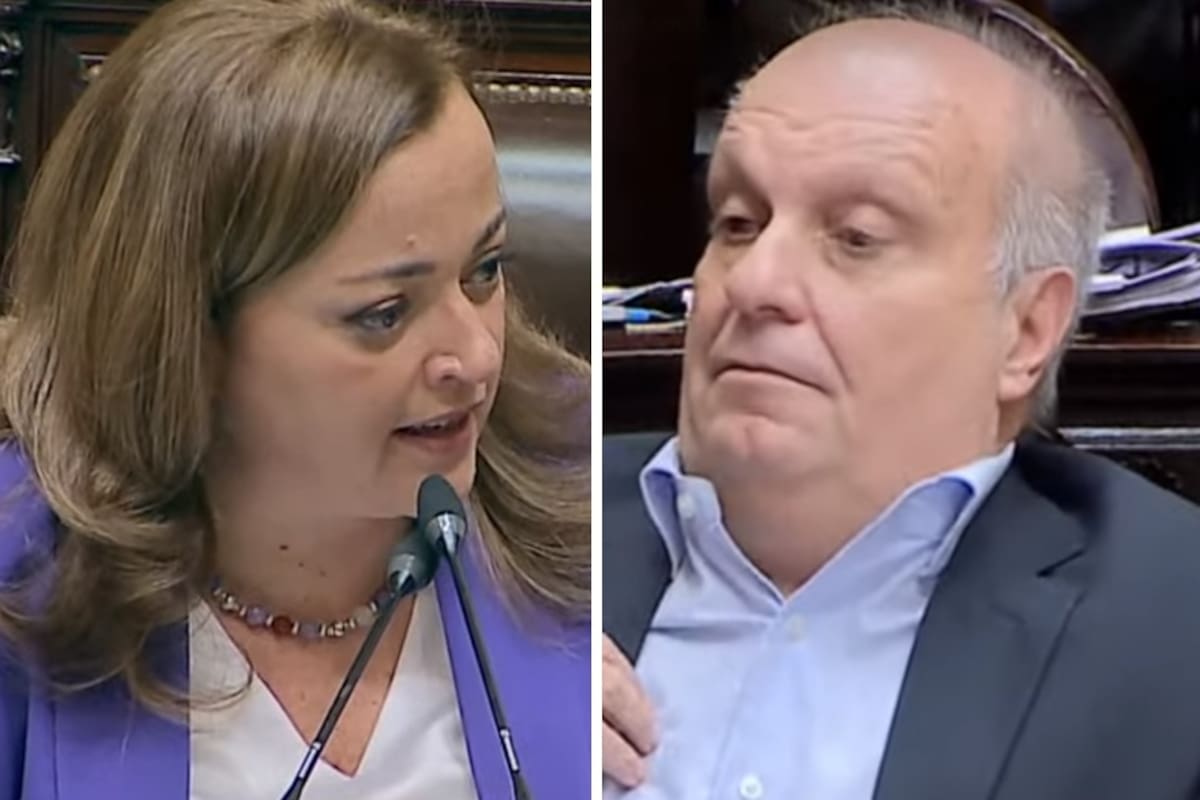 La presidenta de la Cámara de Diputados, Cecilia Moreau, junto al diputado de Pro Hernán Lombardi