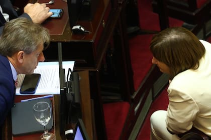 La presidenta del bloque de LLA, Patricia Bullrich, con el senador radical Eduardo Vischi durante el debate en el Senado por la baja de edad de imputabilidad.