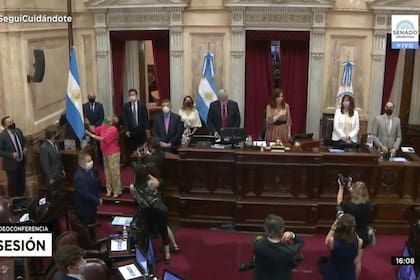 La presidenta del Senado, Cristina Kirchner, en una sesión especial, con la izamiento de la bandera por parte de la legisladora chubutense Nancy González