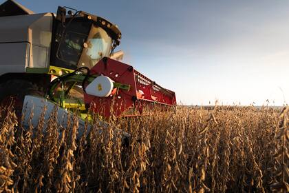 La presión tributaria total va del 53% a 112% de la renta, dependiendo de la zona de producción