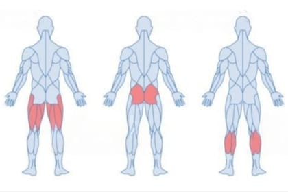 La prestigiosa universidad recuerda que no se requiere un gimnasio para mantenerse saludable
