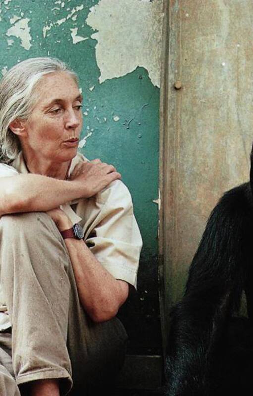 La primatóloga Jane Goodall. Archivo La Nación