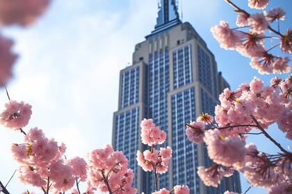 La primavera avanzó hacia el norte con temperaturas inusualmente altas