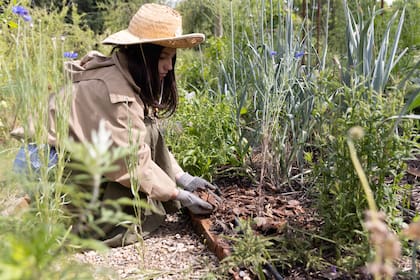 La primavera despierta al jardín, pero las bajas temperaturas todavía pueden jugar su última carta