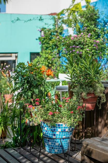 La primavera devuelve volumen y movimiento a la terraza, y las macetas empiezan a funcionar como una composición en lugar de piezas aisladas