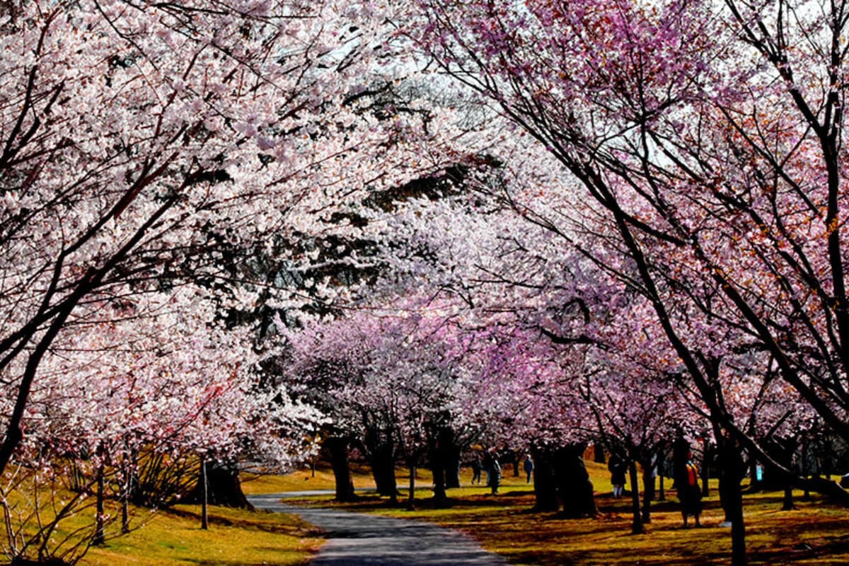 La primavera está a punto de comenzar en Estados Unidos
