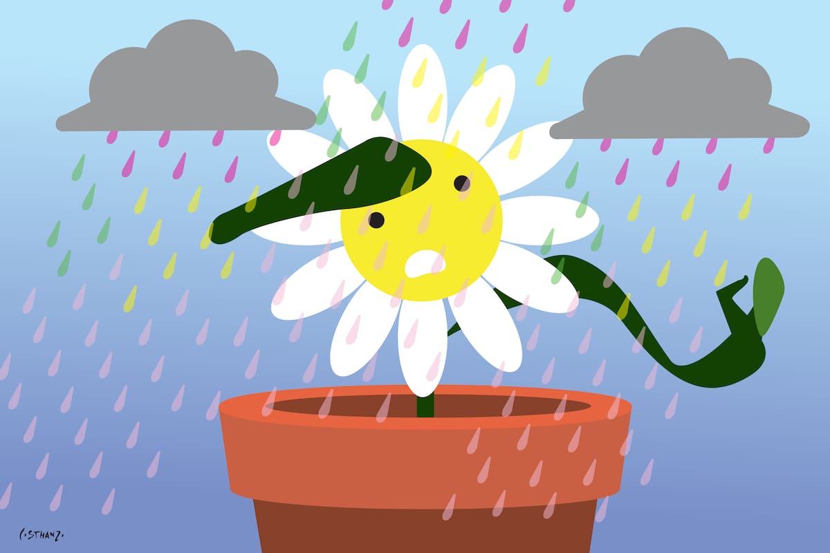 La primavera puede esperar