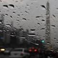 El Niño gana fuerza: prevén una primavera con más lluvias en gran parte del país