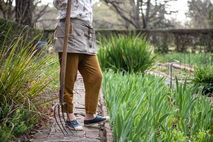 La primavera trae luz, color y la oportunidad perfecta para renovar tu jardín
