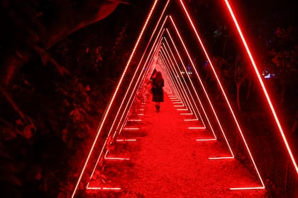 La primera edición de la experiencia lumínica se hizo el año pasado en el Jardín Botánico