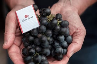 Llega una feria con eje en el vino bueno, limpio y justo