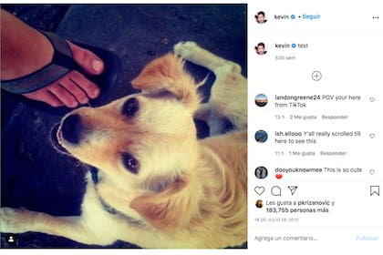 La primera foto, publicada por Kevin Systrom, el 16 de julio de 2010, antes del lanzamiento oficial de la plataforma