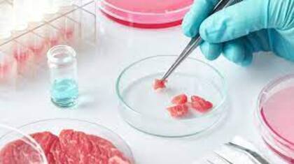 La primera hamburguesa cultivada costaba US$300.000