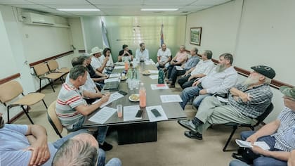 La primera reunión de la Mesa Yerbatera fue el pasado viernes en la sede del Ministerio del Agro de Misiones