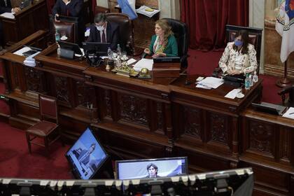 La primera sesión virtual en la historia del Senado