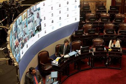 La primera sesión virtual en la historia del Senado