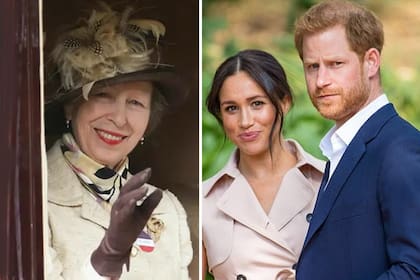 La princesa Ana, tía de Harry , hizo un sorpresivo comentario en contra de su sobrino