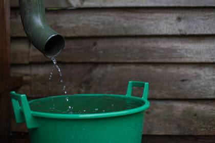 La principal medida contra el dengue sigue siendo la eliminación de los potenciales criaderos de mosquitos Aedes aegypti: el descacharrado y la limpieza de incluso los lugares más pequeños o impensados en los que pueda acumularse agua limpia y fresca