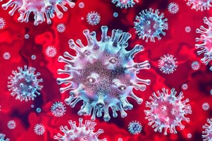 La principal misión del virus, una vez que entra al organismo, es crear copias de sí mismo