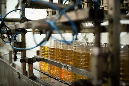 La principal unidad es el aceite de girasol: “Vendemos aceite de girasol refinado para insumos de las principales industrias argentinas; por ese motivo hemos avanzado muchísimo en todo tipo de certificaciones y normas de calidad e inocuidad y ahora de sustentabilidad también"