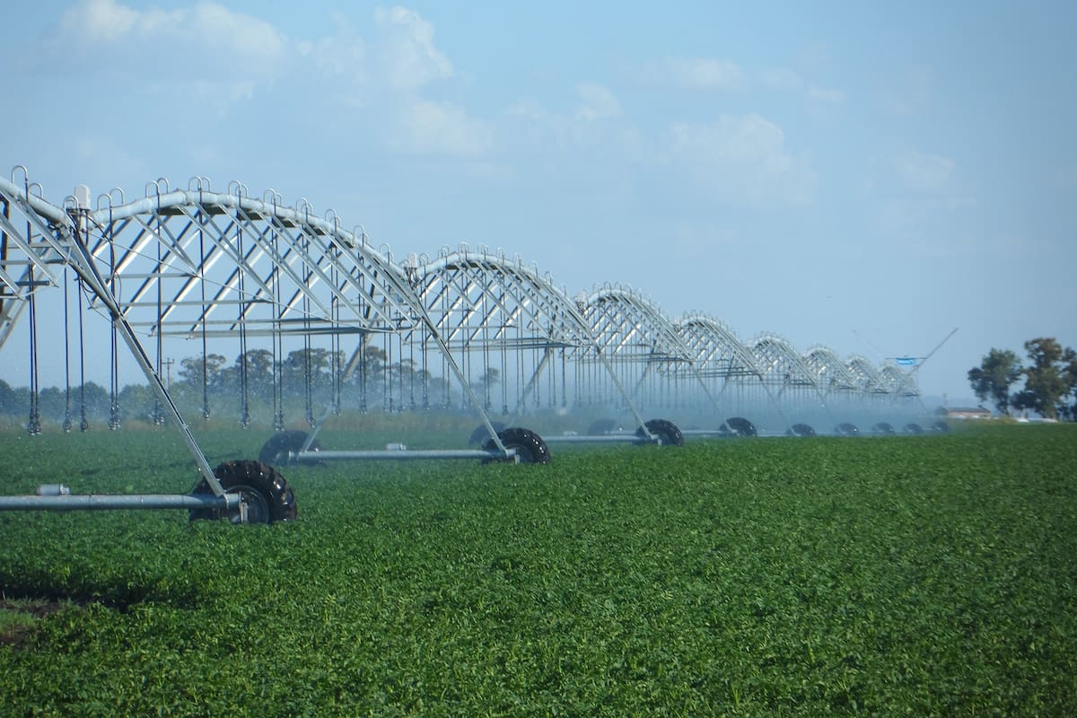 La producción agrícola, en el camino de la sustentabilidad