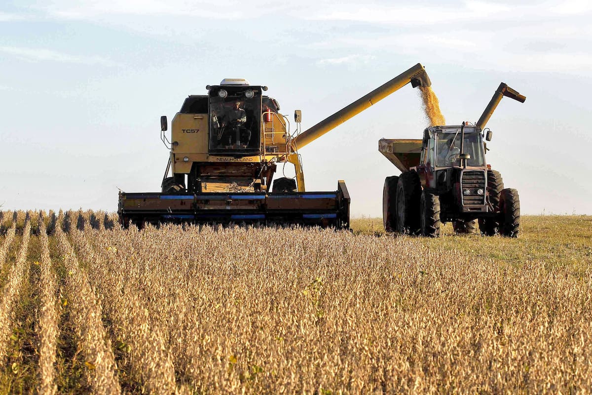 La producción agrícola sigue siendo uno de los principales motores de generación de divisas del país, aunque el sector reclama una reducción de la carga tributaria